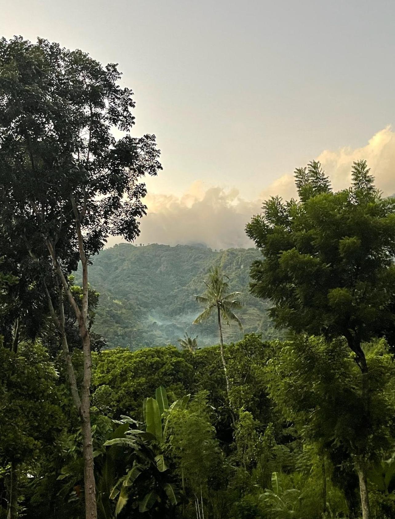 Tropical Habitat Bali Villa *